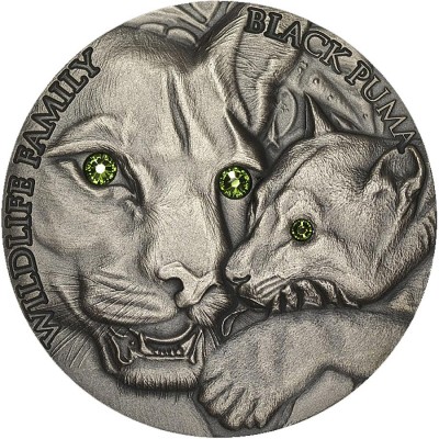 Niue Island 1 oz BLACK PUMA series WILDLIFE FAMILY $1 Silver coin 2016